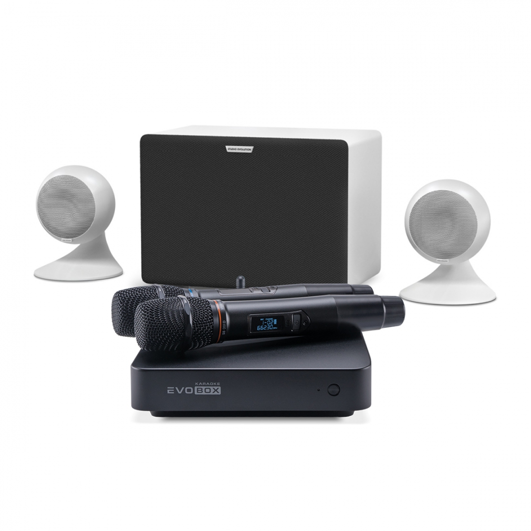 караоке-комплект EVOBOX Classic + EvoSound Sphere 2.1 в Судаке