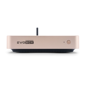 EVOBOX Classic караоке-система для дома в Судаке