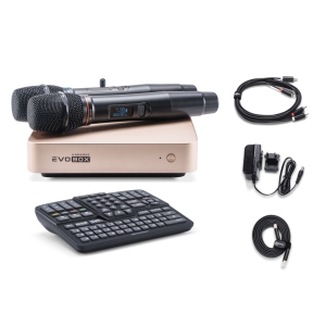 EVOBOX Classic караоке-система для дома в Судаке