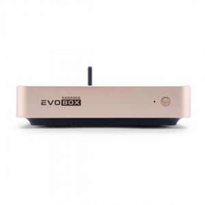 EVOBOX Plus караоке-система для дома в Судаке