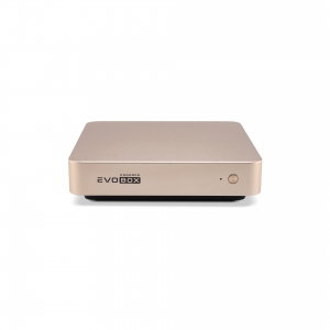 EVOBOX с микрофонами в Судаке