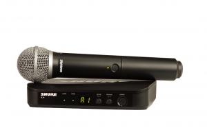 SHURE BLX24E/PG58 M17 вокальная радиосистема в Судаке